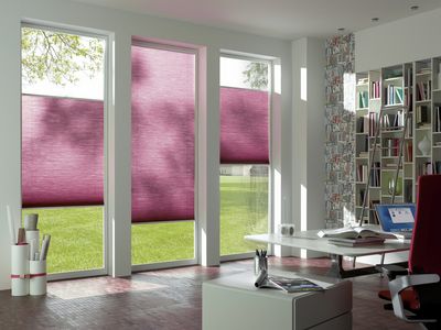 Pleated Blind Systems, SG 8500, DUETTE® Fixé Elan, Col 20023, BB24